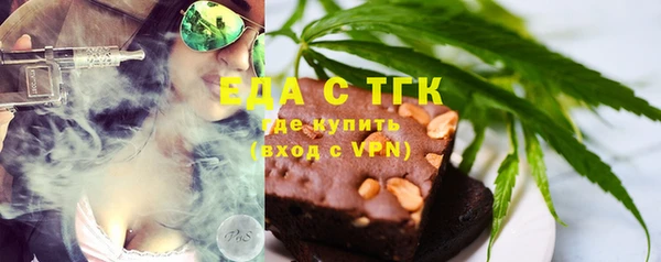 хмурый Алексин