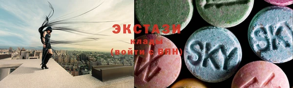 хмурый Алексин