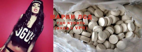 ГАЛЛЮЦИНОГЕННЫЕ ГРИБЫ Алзамай