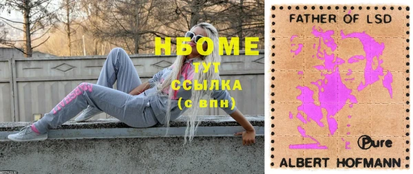 хмурый Алексин
