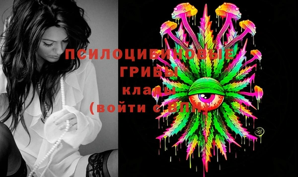 ГАЛЛЮЦИНОГЕННЫЕ ГРИБЫ Алзамай