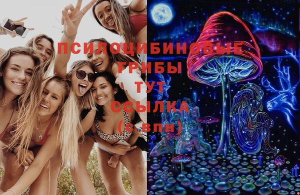 ГАЛЛЮЦИНОГЕННЫЕ ГРИБЫ Алексеевка