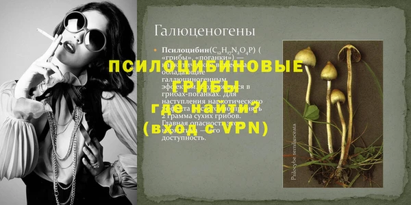 ГАЛЛЮЦИНОГЕННЫЕ ГРИБЫ Алзамай