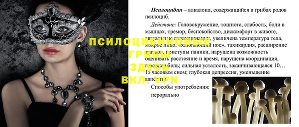 ГАЛЛЮЦИНОГЕННЫЕ ГРИБЫ Алексеевка