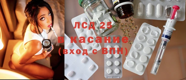 хмурый Алексин
