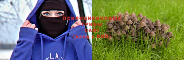 хмурый Алексин